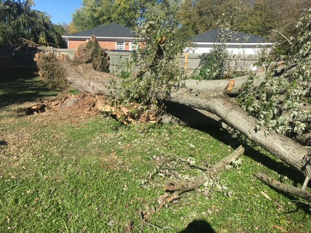 Storm Damage Cleanup